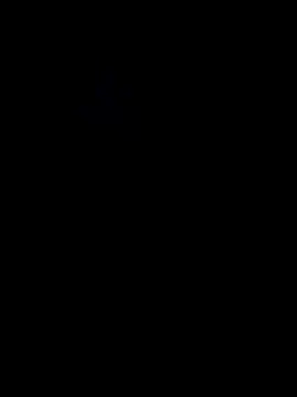 Night outcam online show from December 13, 9:10 pm