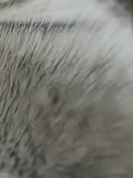 Lm0600 online show from March 28, 3:56 pm