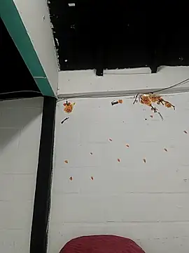 sk8-boy online show from March 21, 1:48 pm