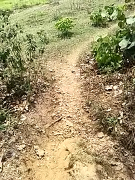 Sheela Sex90 online show from April 19, 6:57 am