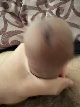 beastcumm online show from April 5, 8:11 am