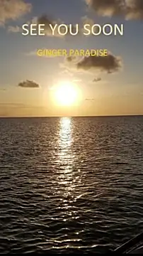 Ginger Paradise online show from November 5, 4:03 am