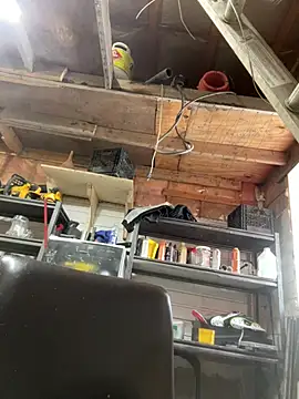 WIDBIGWHITECOCK online show from March 28, 7:14 pm