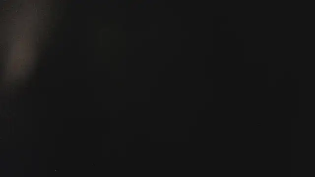 Fancy Vixen online show from February 27, 3:51 am