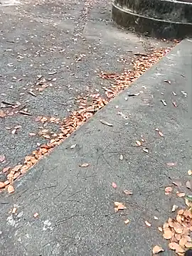 andresj22hot online show from March 19, 12:08 pm