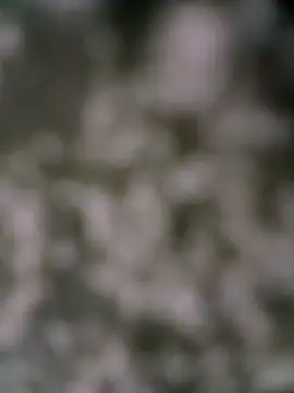 Mkhothiwesibumbu online show from February 7, 2:56 pm