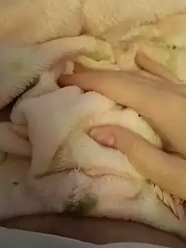 CutxeFrench online show from March 2, 10:33 am