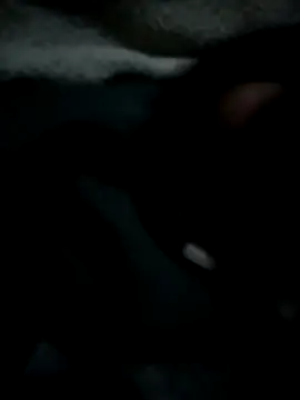 Ben10xblack online show from May 11, 1:29 am
