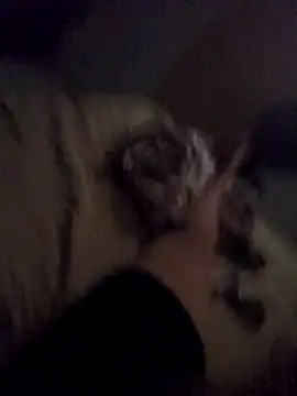 zacariastesao22 online show from February 7, 5:03 am