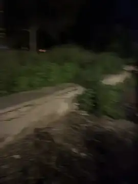 X7med online show from March 22, 7:52 pm