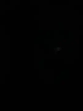 stallone italiano 62 online show from April 10, 4:41 am