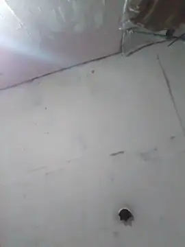 cobrosdepagos online show from April 11, 4:19 am