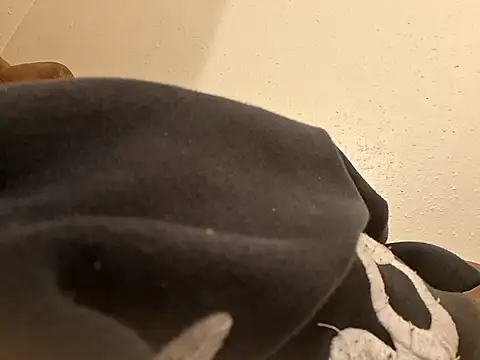 stressrliver88 online show from March 6, 5:48 am