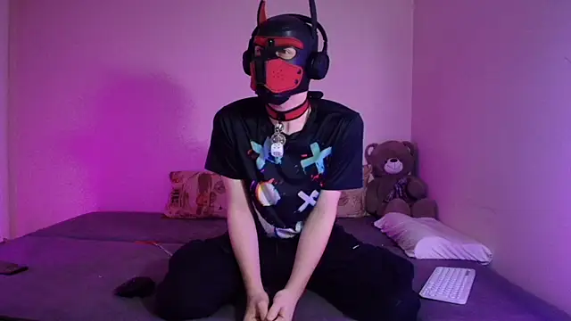 K9 GoodBoy online show from April 1, 5:54 pm