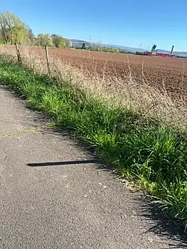 Marlon06  online show from April 8, 2:48 pm