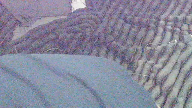 elong007 online show from April 1, 3:53 pm