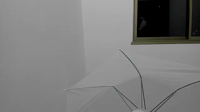 Mnell28 online show from March 5, 6:31 am