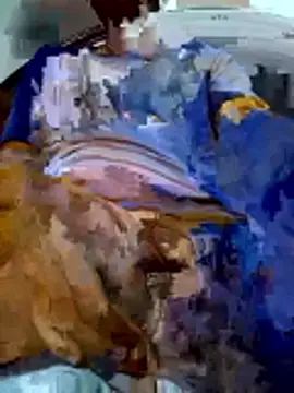 PgL 43 online show from March 3, 11:17 am