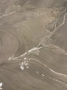 sharks90 online show from April 10, 4:08 am