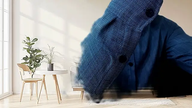 meowmeowland online show from March 24, 1:05 pm