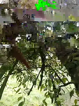 xjkedv online show from June 6, 6:47 pm