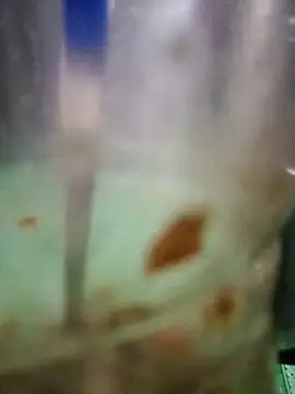 roc321 online show from April 9, 11:38 am