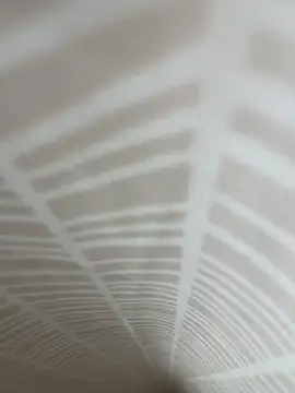 temporaryxl online show from June 16, 10:23 pm