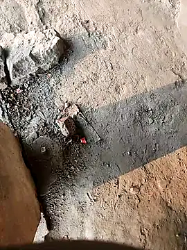lambakooli online show from June 13, 12:41 am