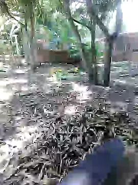 mutrox50 online show from February 24, 5:20 pm