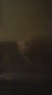 Biknight online show from December 9, 5:07 am