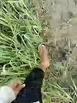 ThethunderPo online show from February 19, 1:51 am