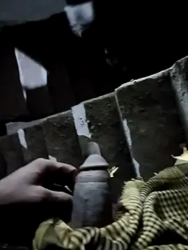 Bengali BULL1 online show from November 17, 1:47 pm