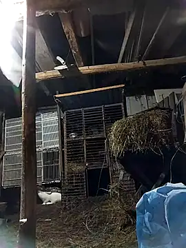 sarpe4 online show from February 8, 6:45 pm