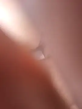 Bull8 online show from April 19, 8:25 am