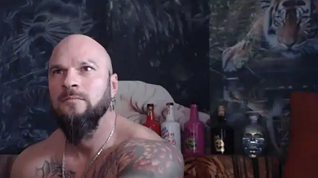 viking 30 online show from November 12, 10:54 am