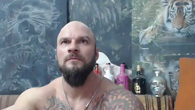 viking 30 online show from November 20, 7:45 pm