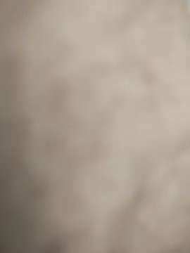 Beyefendistannbul online show from January 12, 11:42 pm