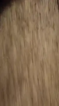 PrinceNoAlbert online show from October 9, 9:41 pm