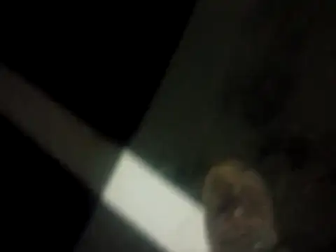 Billywax online show from February 7, 7:48 am