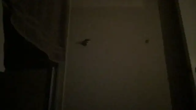 BigGuyMuscle online show from April 4, 4:09 am