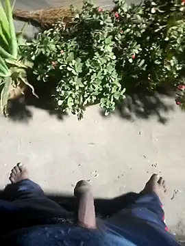 FinableKnee online show from November 28, 1:02 pm