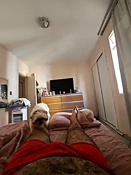 MysterBearMG online show from March 3, 11:49 am