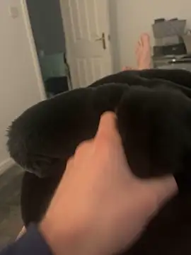 Snapshot of Furdale chatting on March 5, 3:29 pm Furdale online show from March 5, 3:29 pm