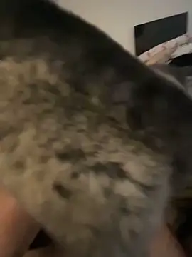 Snapshot of Furdale chatting on February 8, 9:56 am Furdale online show from February 8, 9:56 am