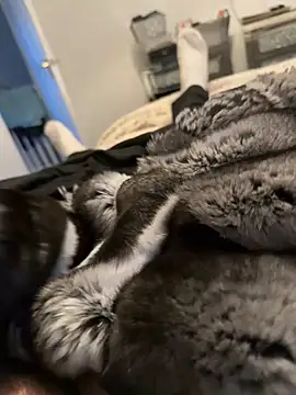 Furdale online show from February 12, 4:24 pm