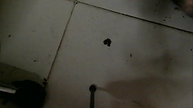 chino roz online show from February 19, 4:33 pm