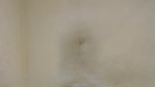 AlexNudo online show from January 30, 4:45 pm