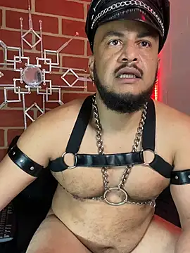 the master foal  online show from February 5, 2:35 pm