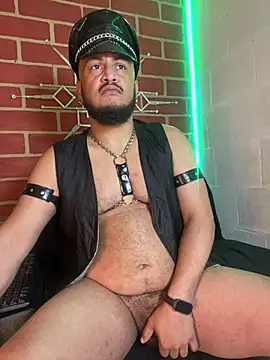 the master foal  online show from February 10, 3:28 pm