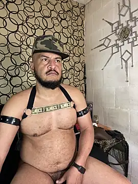 the master foal  online show from March 19, 5:27 pm